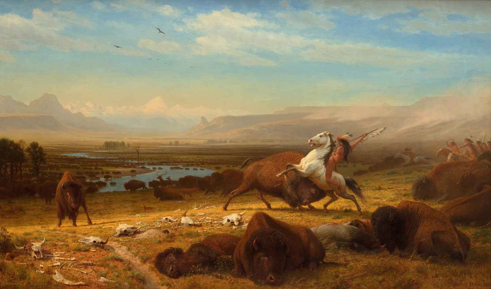 the last of the buffalo[